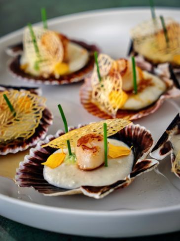 Scallops, aardpeer mousse, soy vinaigrette