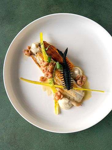 North Sea sole with young leek, cauliflower, potato and shrimp