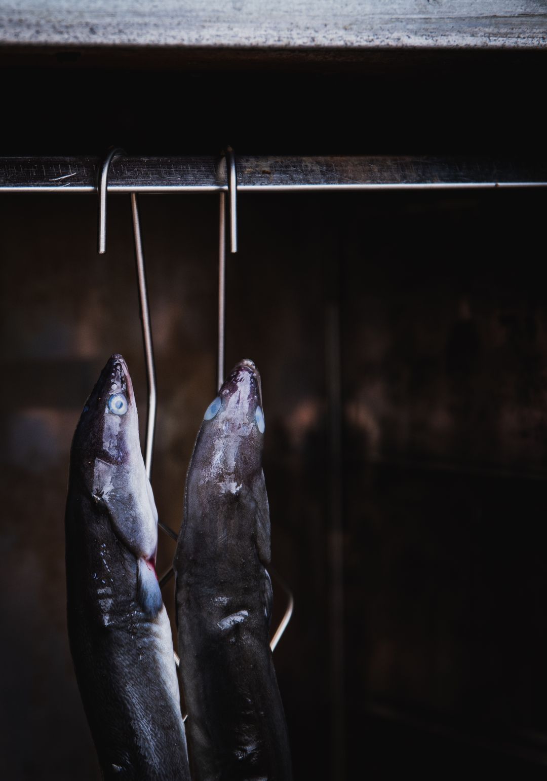 Traditional Smoked Eel