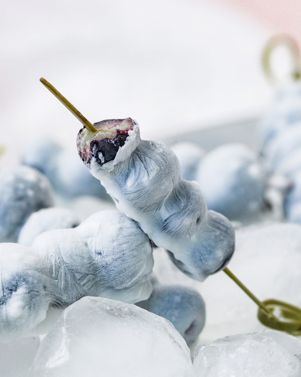 Blueberry popsicles