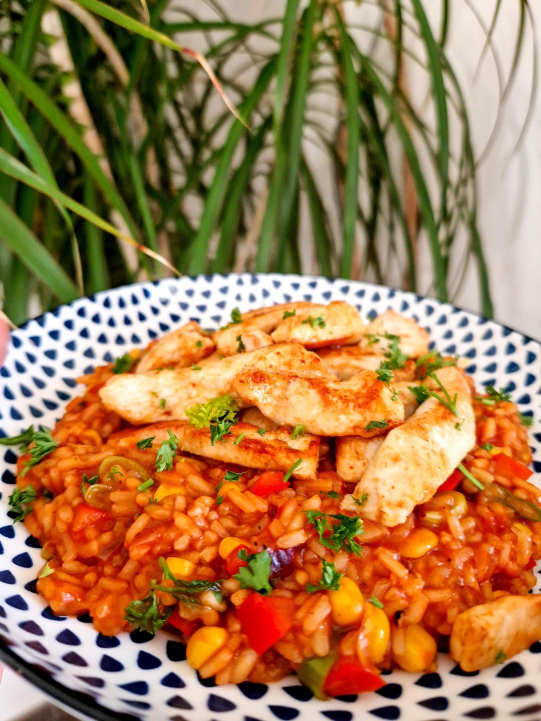 One pot Moroccan chicken